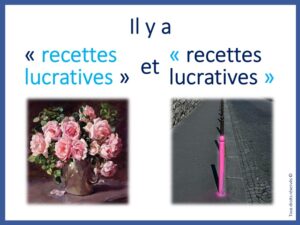Expression Pot Aux Roses 2025-01-14 - Lucrativité : au sens fiscal et au sens économique